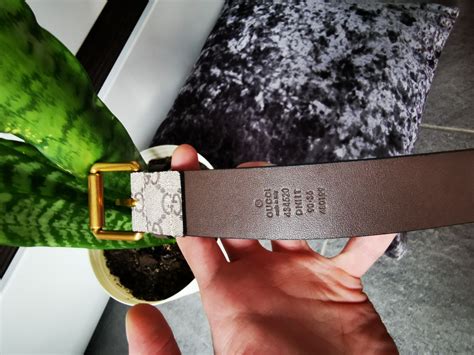 pasek gucci snake
